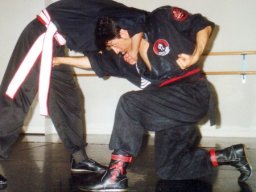 225_Self-defense_2004