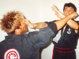 226_Self-defense_2004