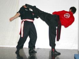 229_Self-defense_2004