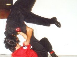 230_Self-defense_2004