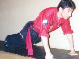 242_Warming-up_2004